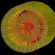 Illustration for article titled Large Hadron Collider proves the universe was once a liquid